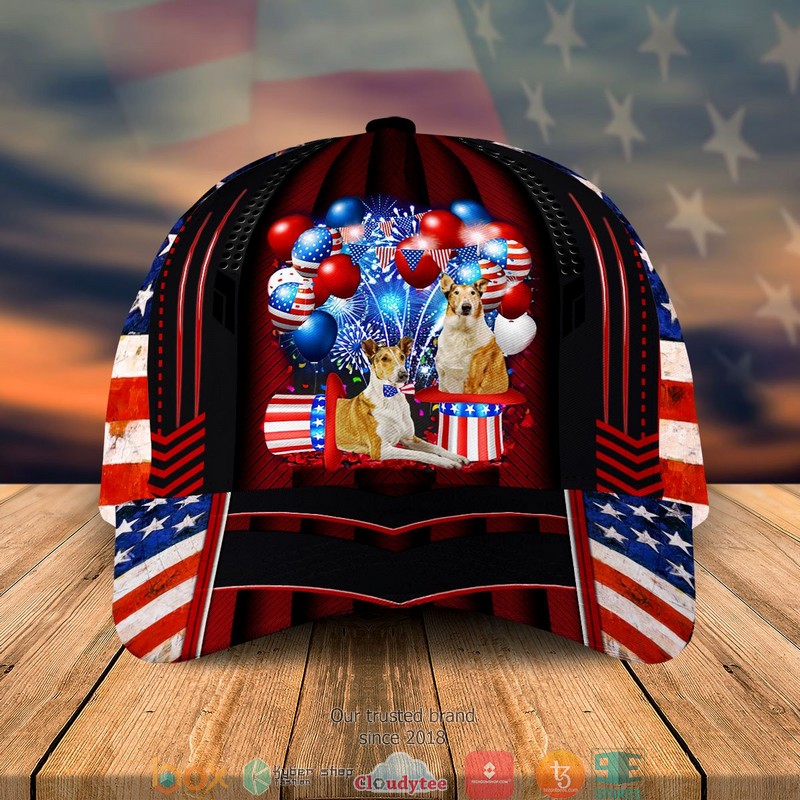 Smooth_Coated_Collies_Patriot_Us_Flag_Balloon_Cap