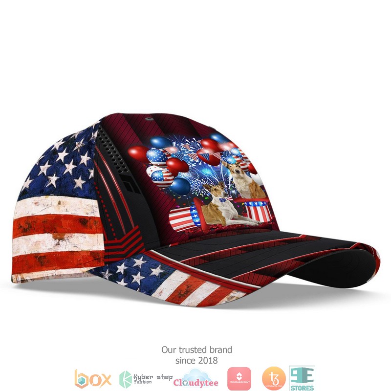 Smooth_Coated_Collies_Patriot_Us_Flag_Balloon_Cap_1_2_3