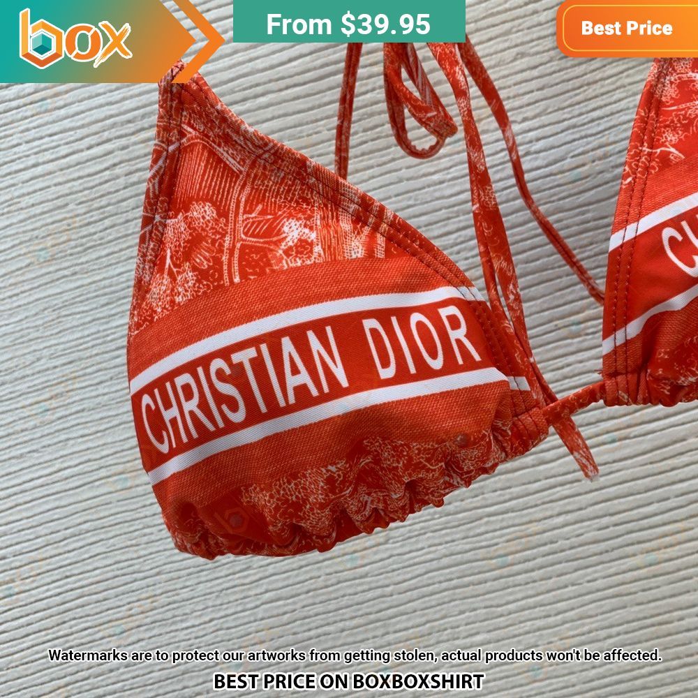 christian dior luxury bikini set 2 484